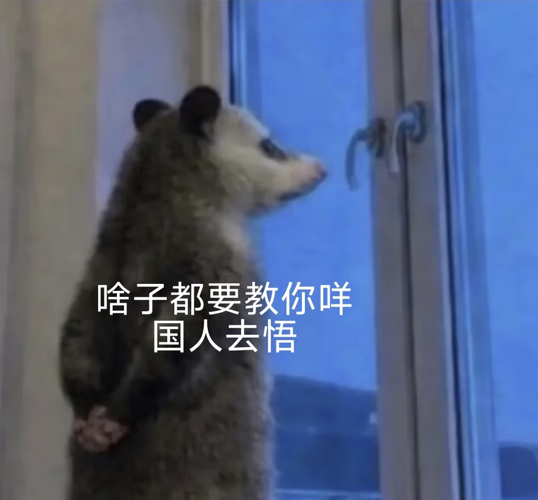 负鼠表情包：重庆方言版 