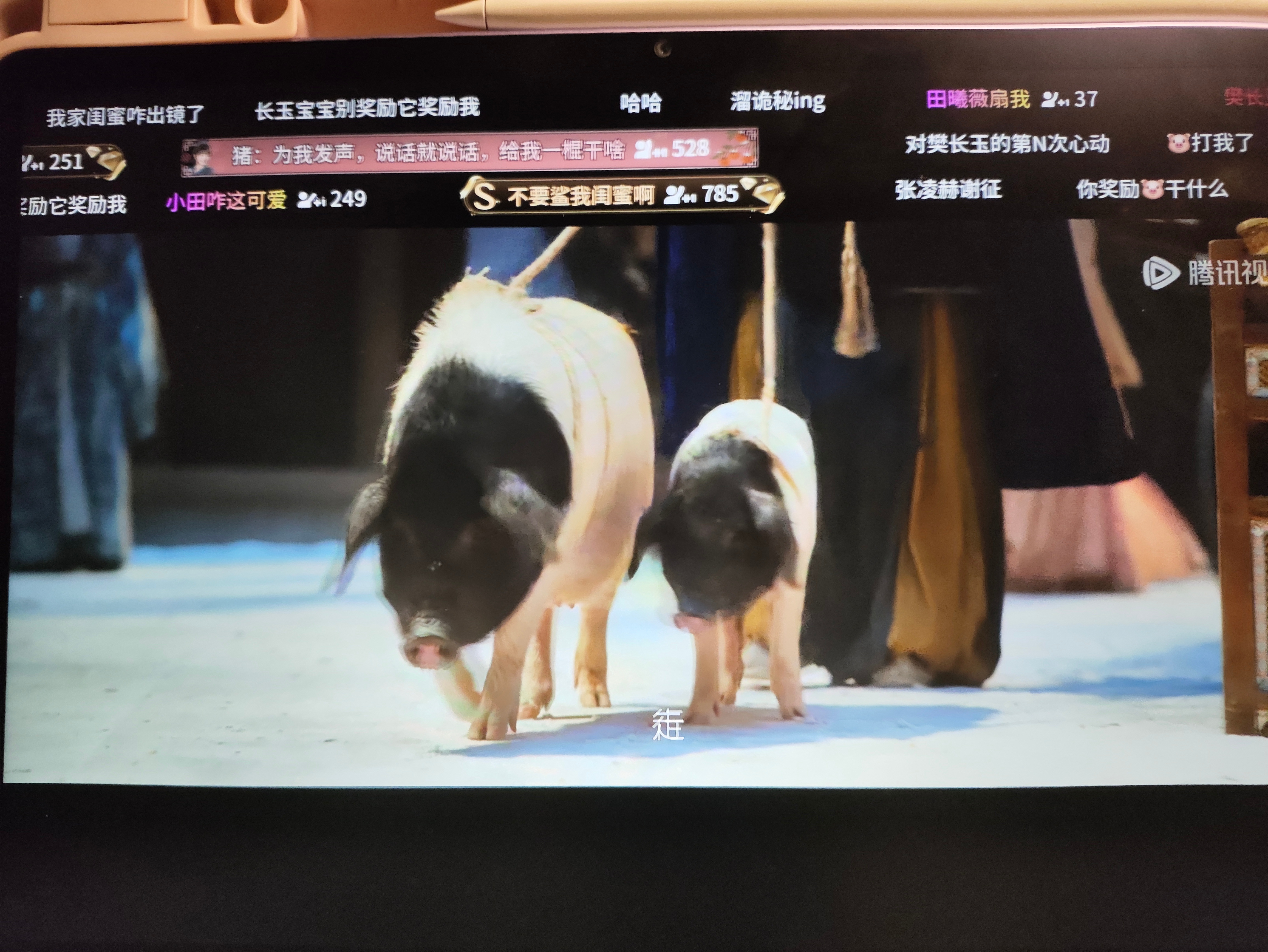 你怎么也出演了 