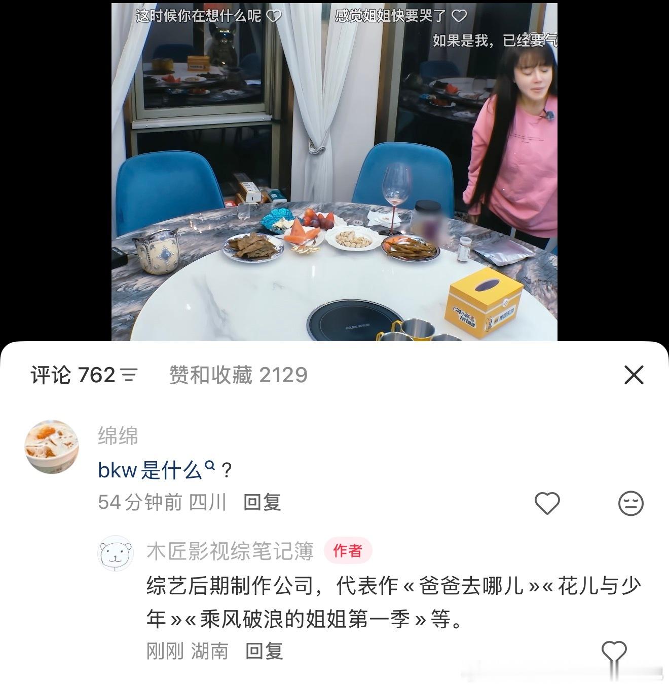 一年一期一会，每年的夏天发«姐姐当家»这个节目都要在评论区科普无数遍 bkw 是