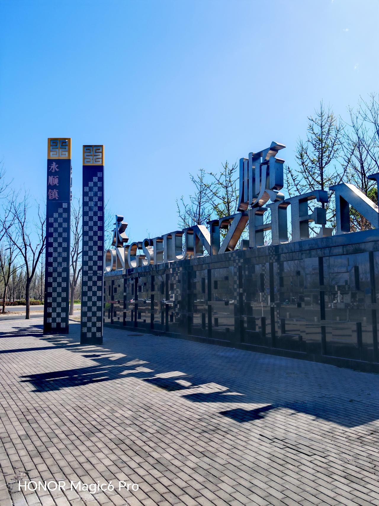 通州区永顺镇刘庄北站附近的刘庄公园，最近简直成了春日打卡圣地！清明假期，20万株