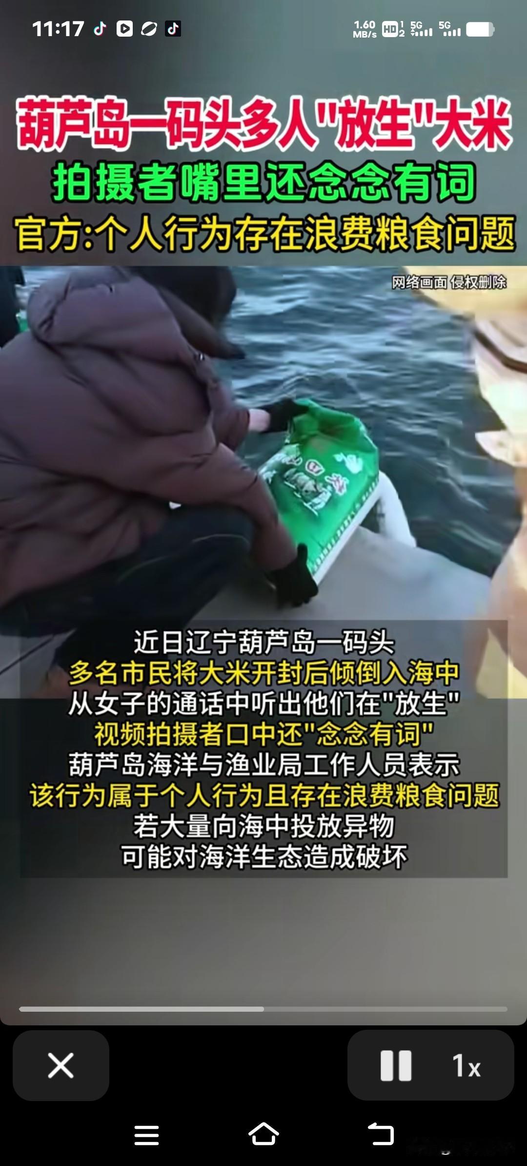 大伙儿在海边可算开了眼——"大米放生"！十几袋白花花的大米被倒进海里，一群退休大