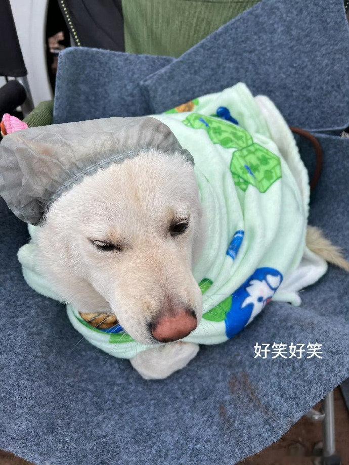 吴磊被老鼠干整没招了   就喜欢看吴磊这种生活化的日常，吃饭被食物整懵，比演戏还