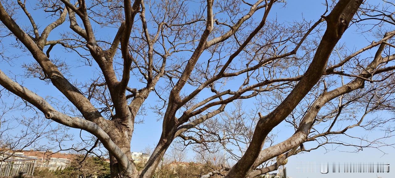 被同事坑了之后，我抑郁了三个月，后来想通了


前公司有个同事，叫小林。她跟另一