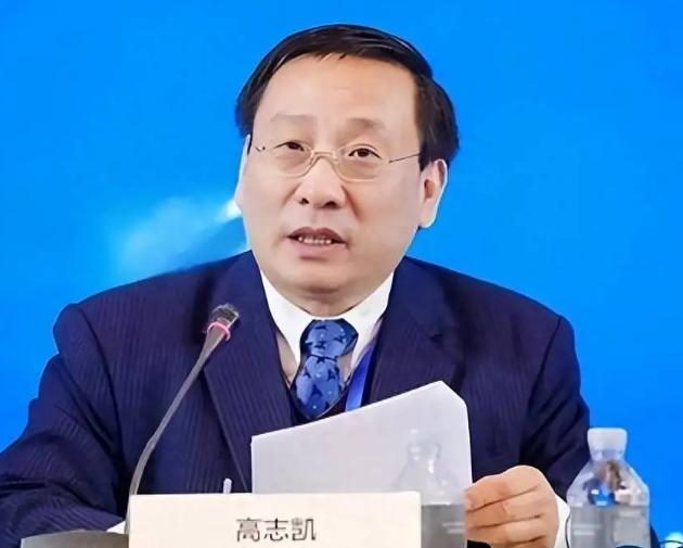 俄方咬死：天然气管道必须穿蒙古进中国。中方没松口。高志凯在访谈里不按套路出牌，来