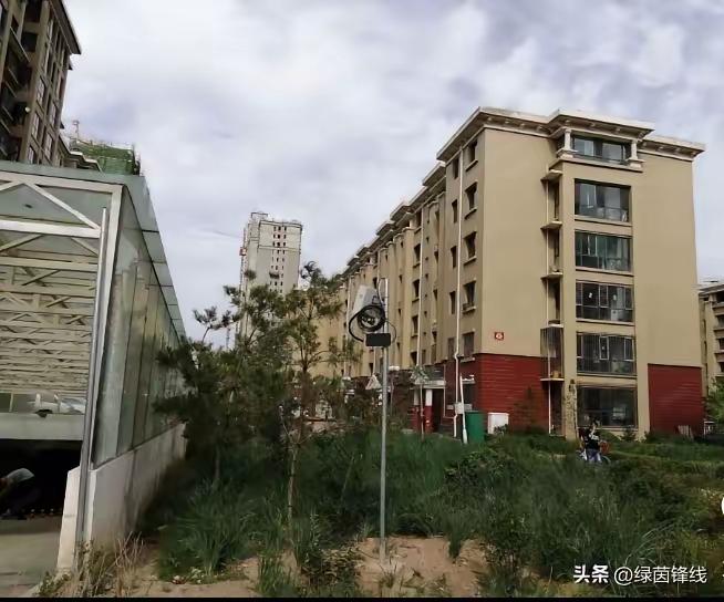 800户一年物业费能收300万，物业在岗人员却不到30人，碰上这种服务，换谁都不