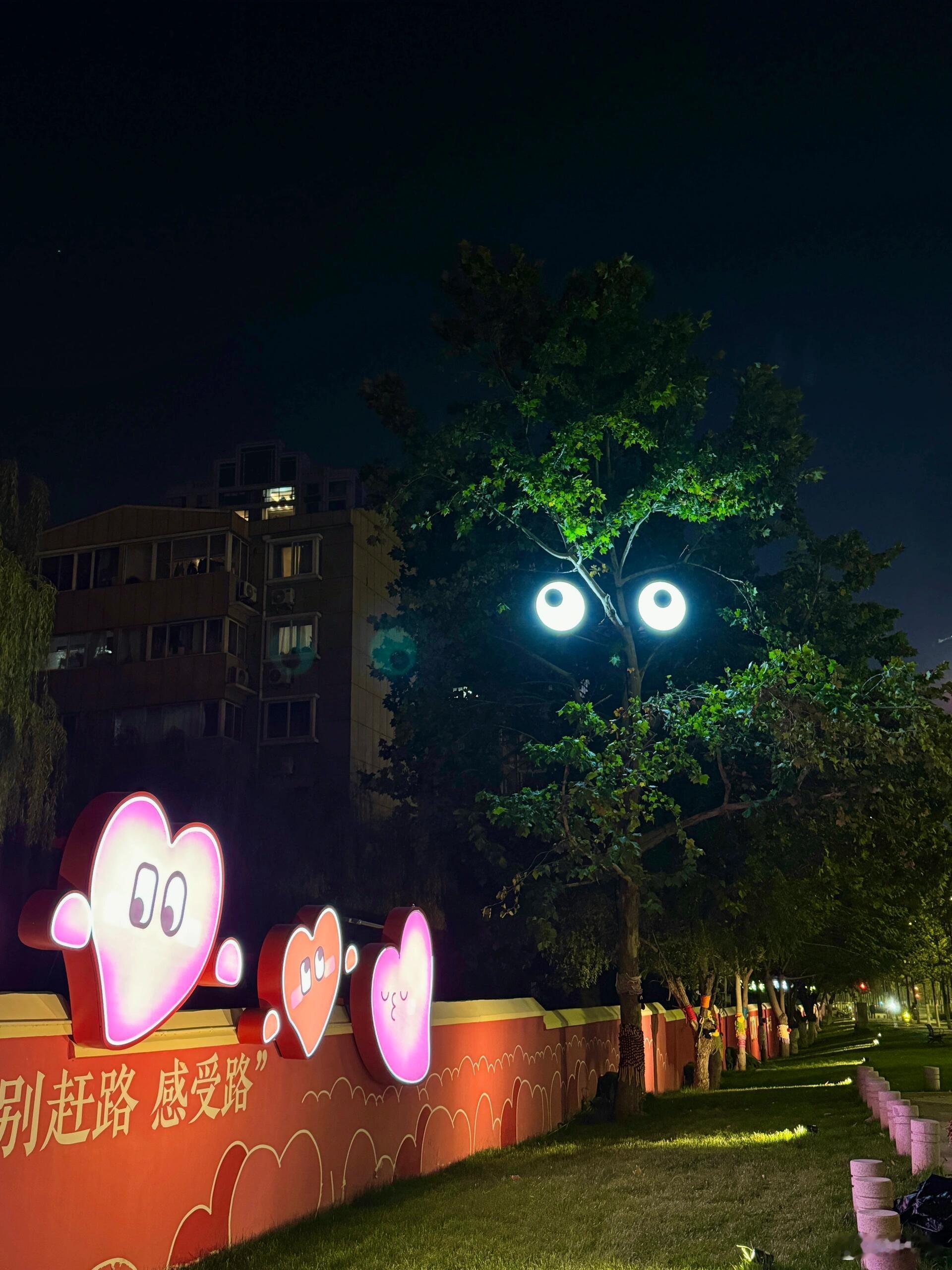 晚上路过吓一跳😱 