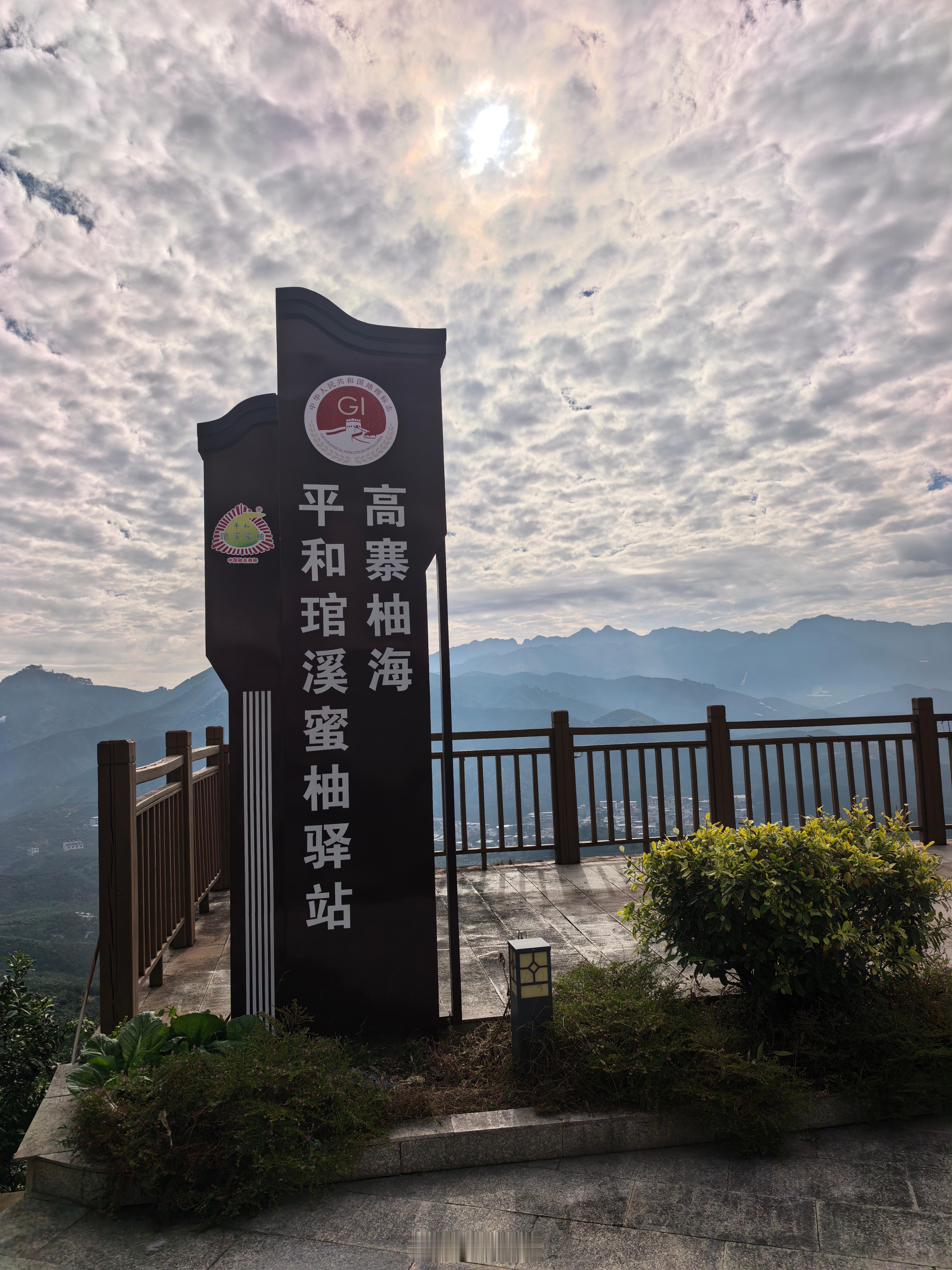 新质福建万千气象 来到中国蜜柚之乡，漫山遍野的蜜柚。 漳州·高寨村