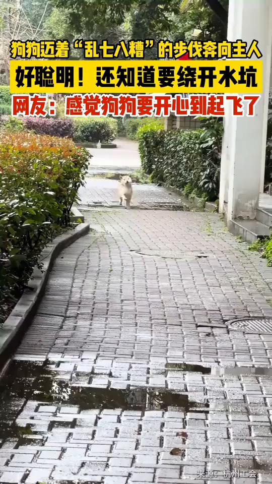 春天里那个白花香，浪里个浪，里个浪，里个浪，后边的太阳在天空，你别笑。
