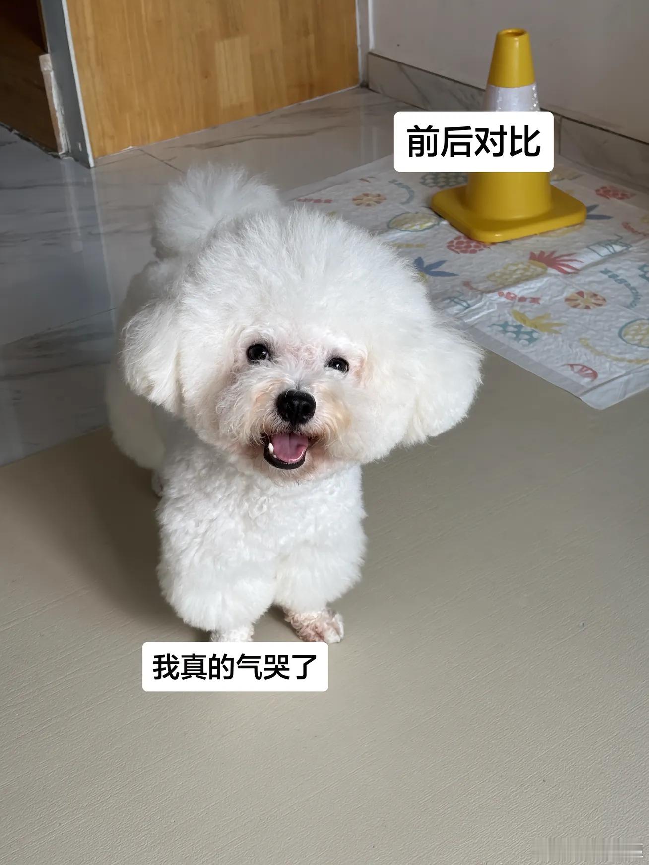 理发师师你睡得着吗！我被丑的睡不着哈哈哈哈哈哈 