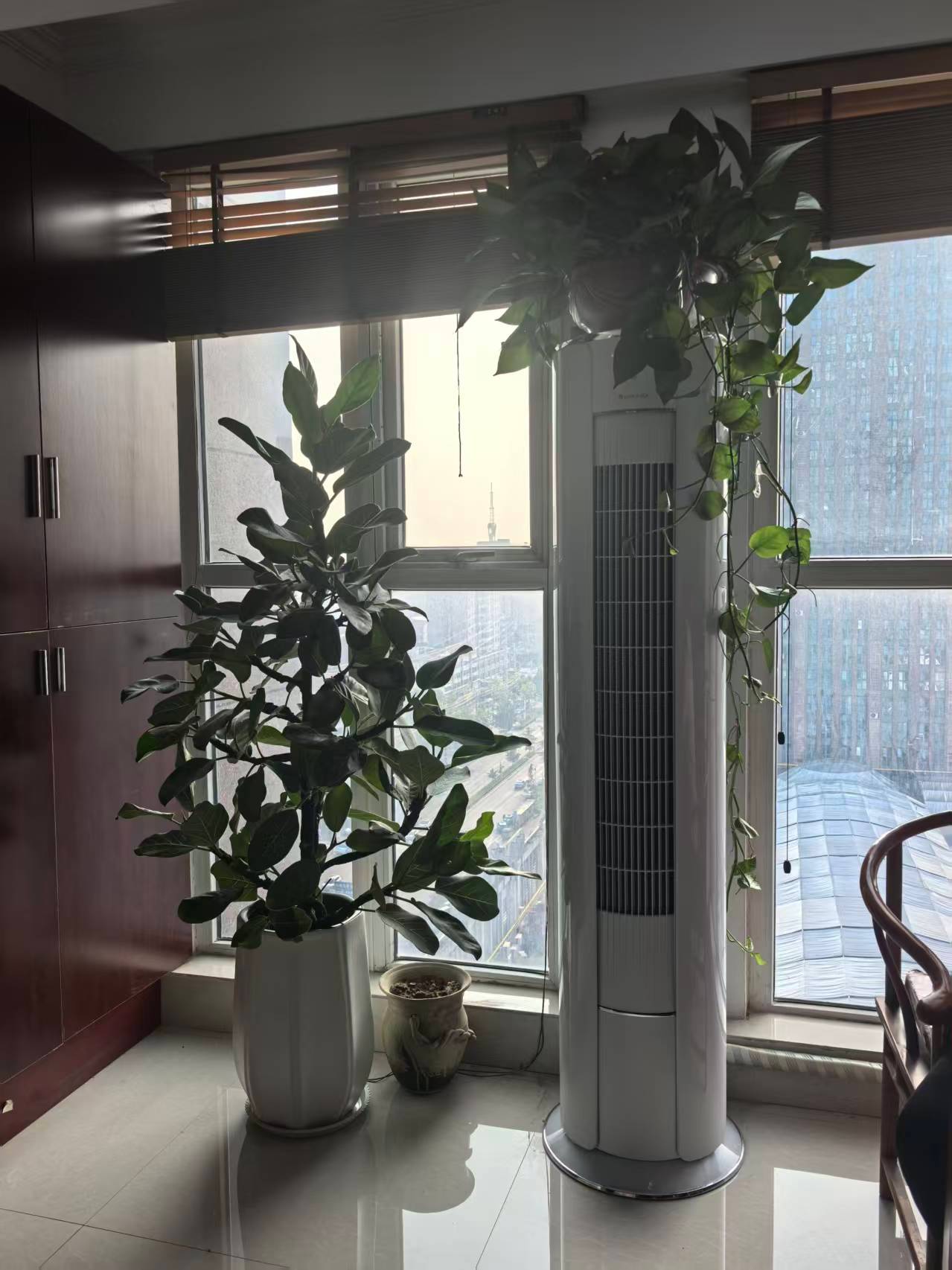 第一天去工作室，我就把家里的零食带了过去，又买了几百元的零食怕大家饿到。都是脑力