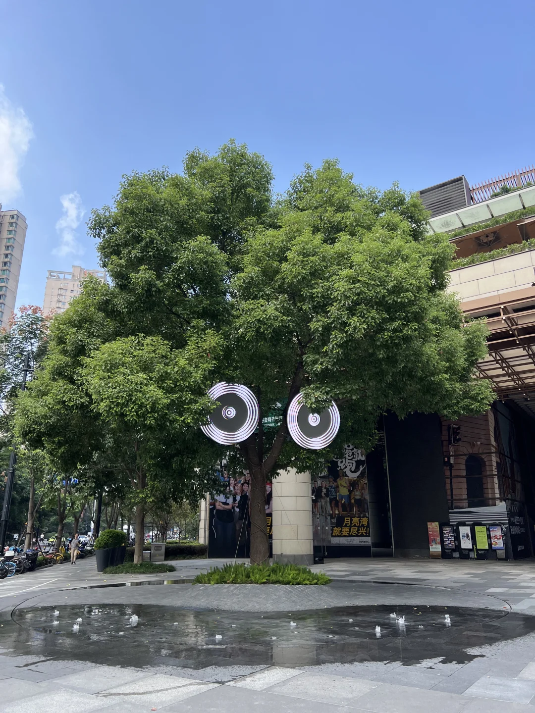 上海的街头 连棵树都这么可爱！