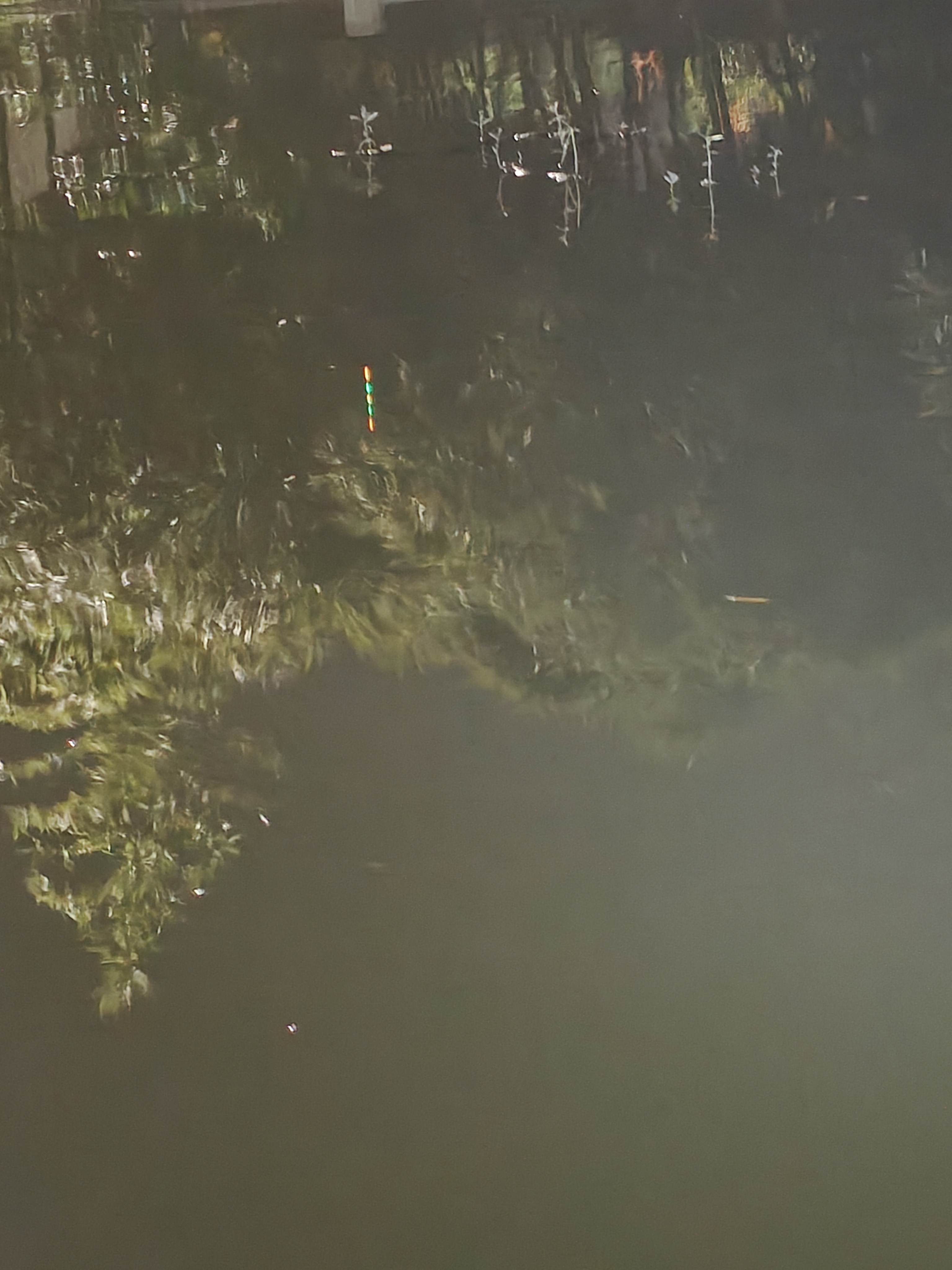 杭州的鱼资源是真差，一礼拜就礼拜天有时间出来钓一下鱼，口都没有[二哈][二哈]蒜