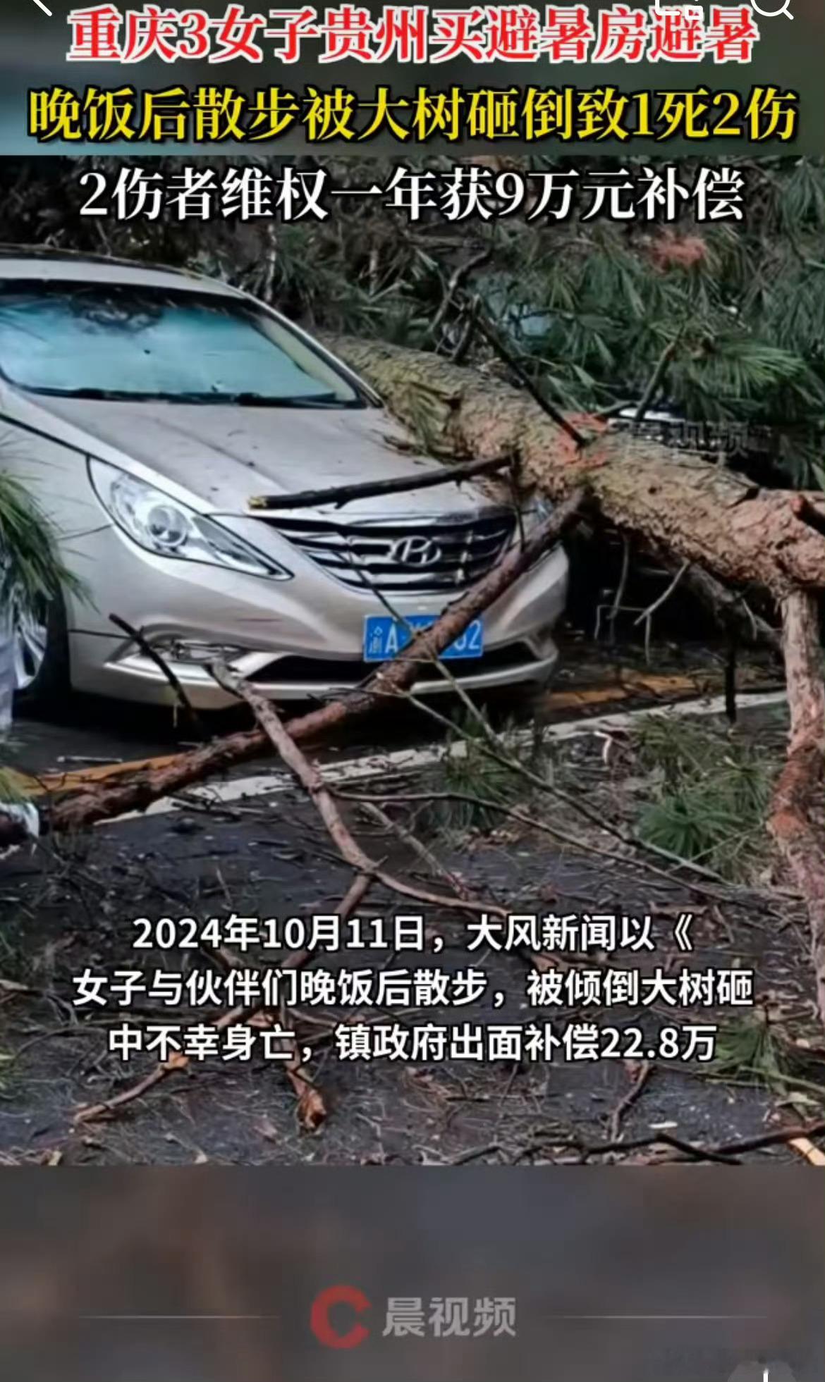 3女子买房避暑被树砸致1死2伤我的天 ，好好检查城市建设吧[泪][泪][泪] ​