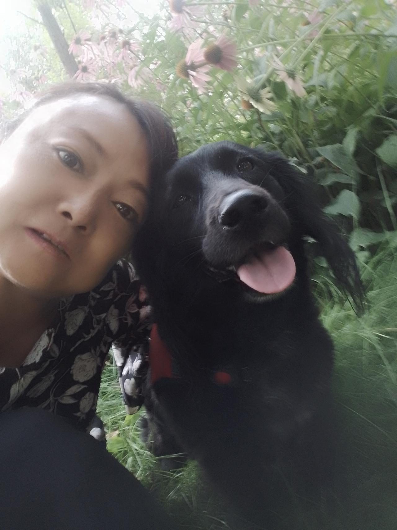 上联：一山一水一风景，如何对下联一人一狗一世界