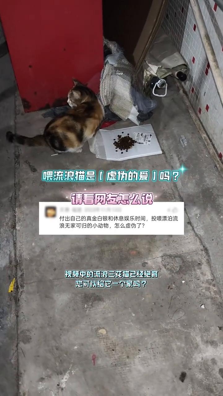 喂流浪猫是虚伪的爱吗？请看网友怎么说。
付出自己的真金白银和休息娱乐时间，投喂漂