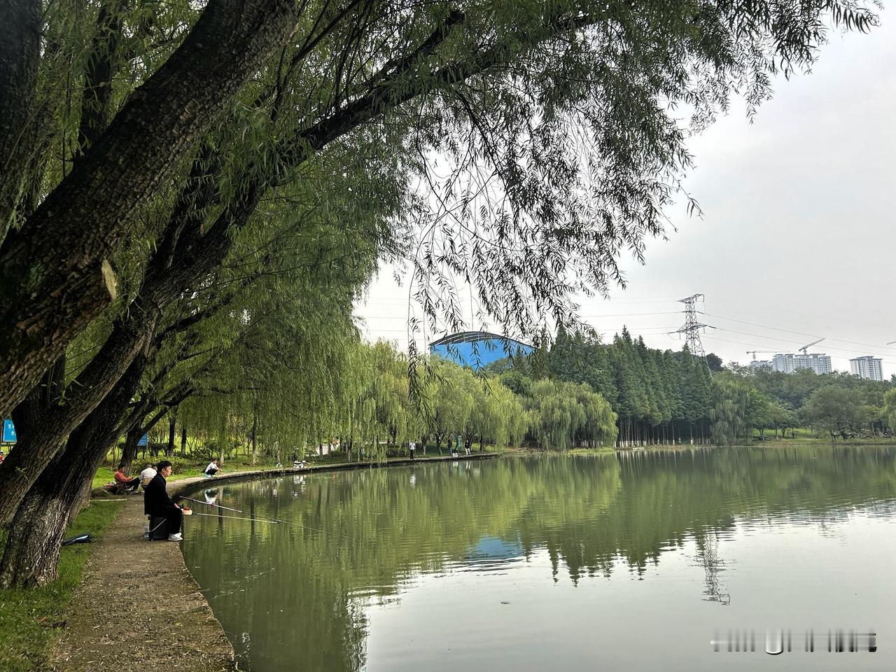 秋日渐凉，不冷不热的日子最适合出门散心，来到爱莲湖寻觅秋的踪迹。

湖水安静澄澈