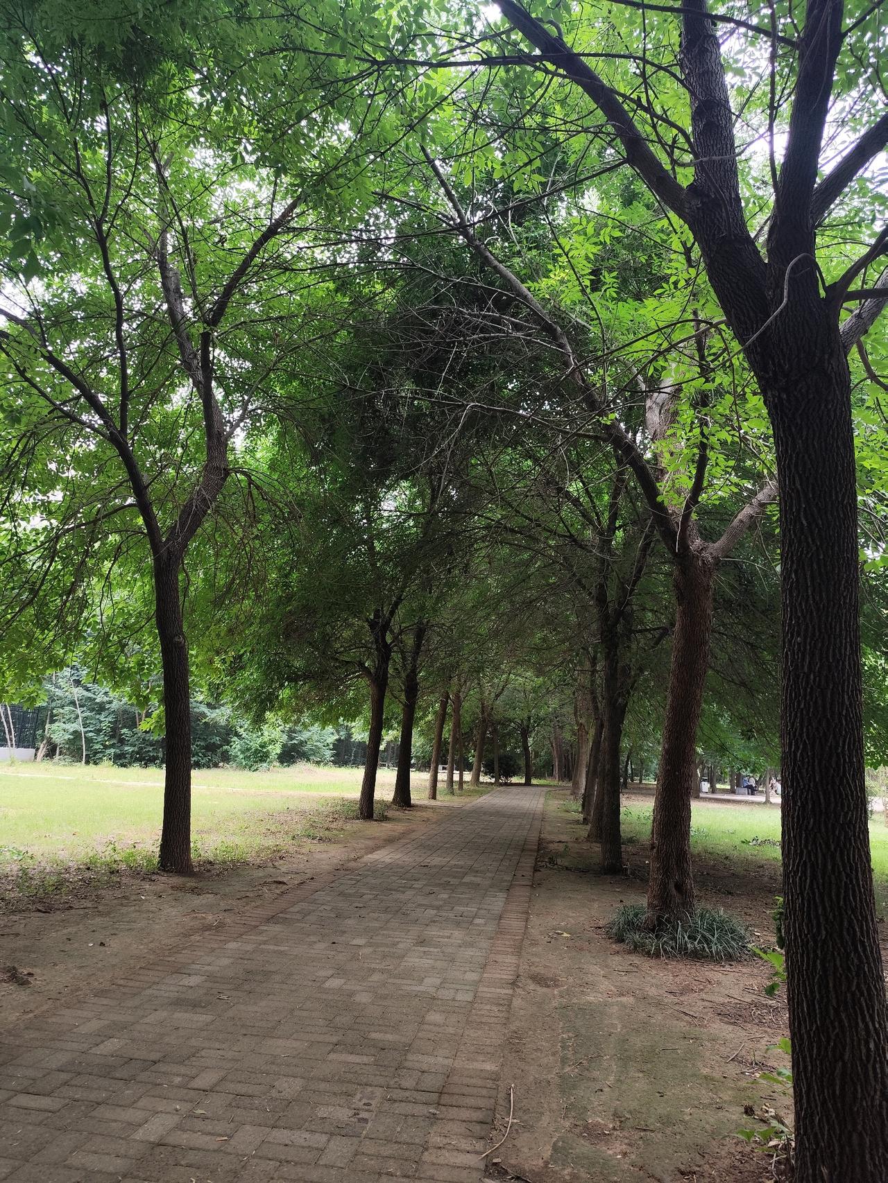 奔波许久，心里终于有了一份盼头。
老公说大宁的项目快收尾了，等忙完这段时间，打算