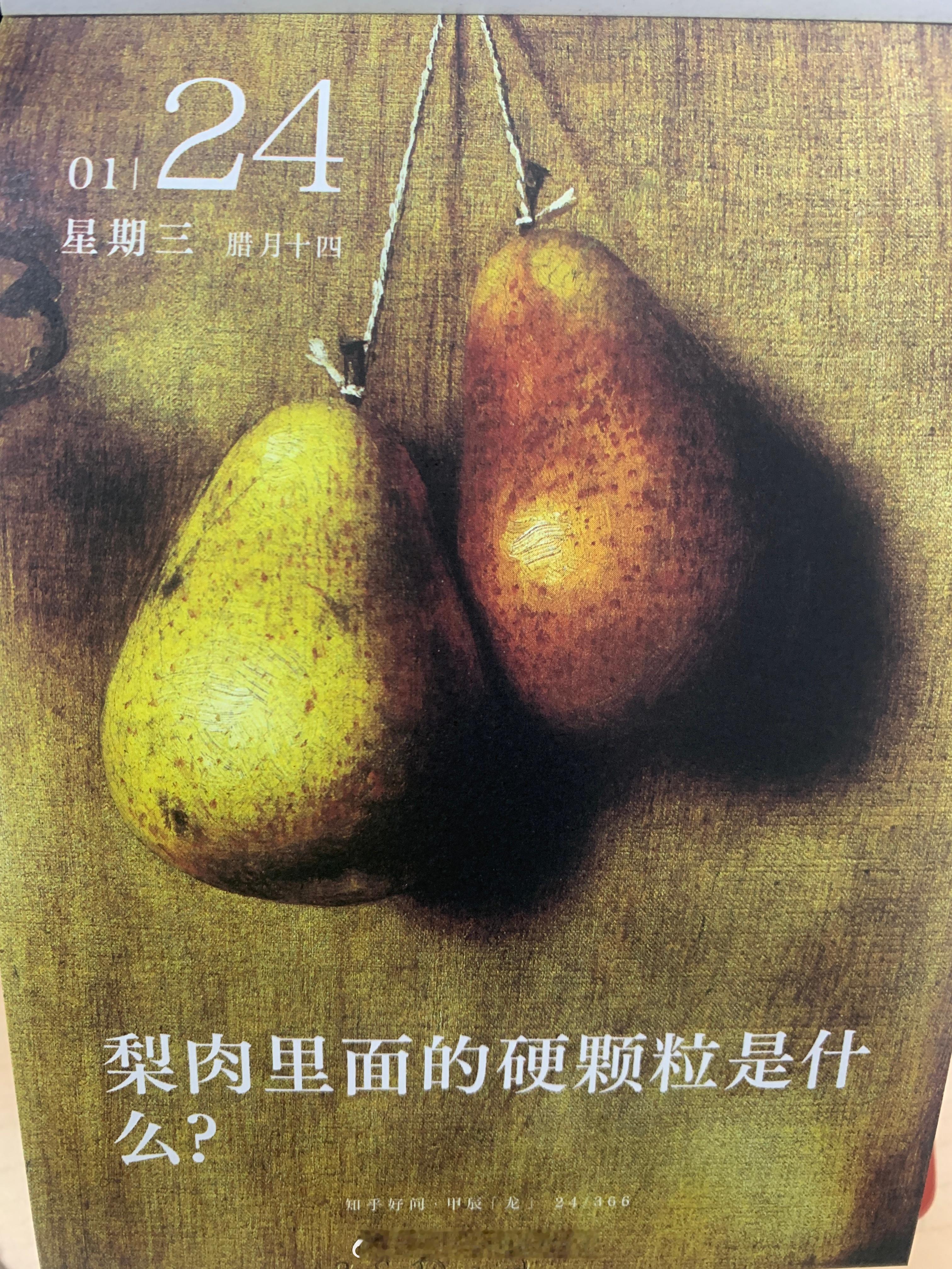 早上好朋友们～梨子里面的硬颗粒是什么呢？ ​​​