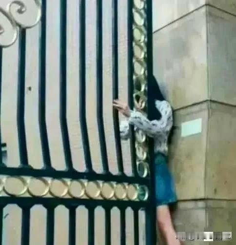 越来越佩服自己了