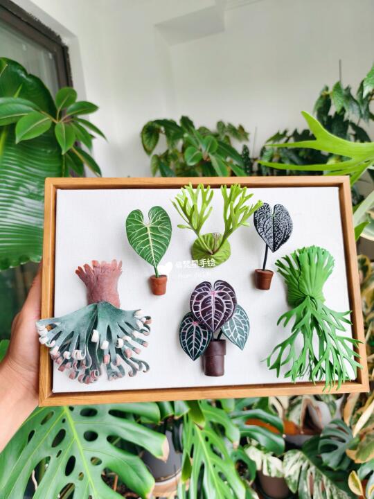 手作粘土|把喜欢的热植装入画框！
