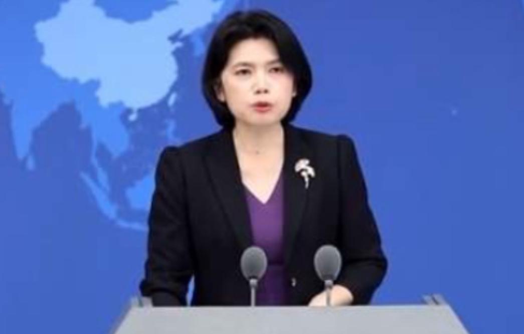中国终于要杀鸡给猴看了，这只“鸡”不是美国、日本、德国、法国、英国、澳大利亚和菲