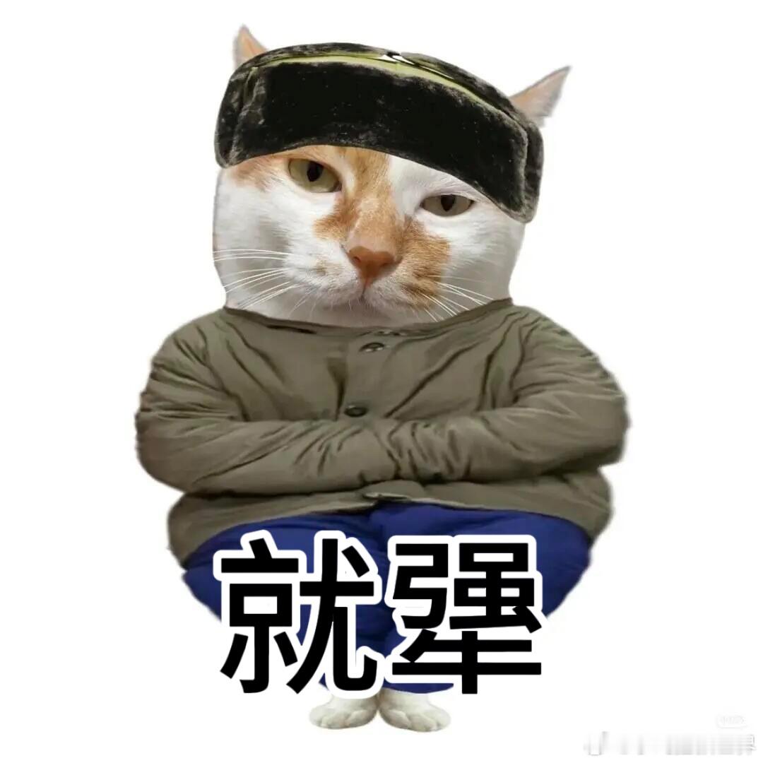 牢A解释中国人游泳夺冠美国人破防 实力面前，一切偏见都是纸老虎，欧美改规则也挡不