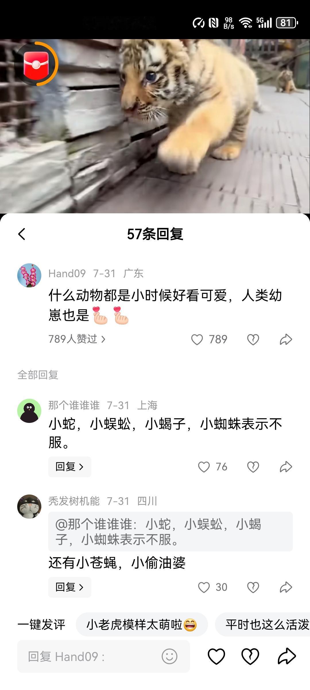 动物园养虎仔的视频评论区因一条热评炸锅了！一网友说，世间万物都是小的时候可爱，包