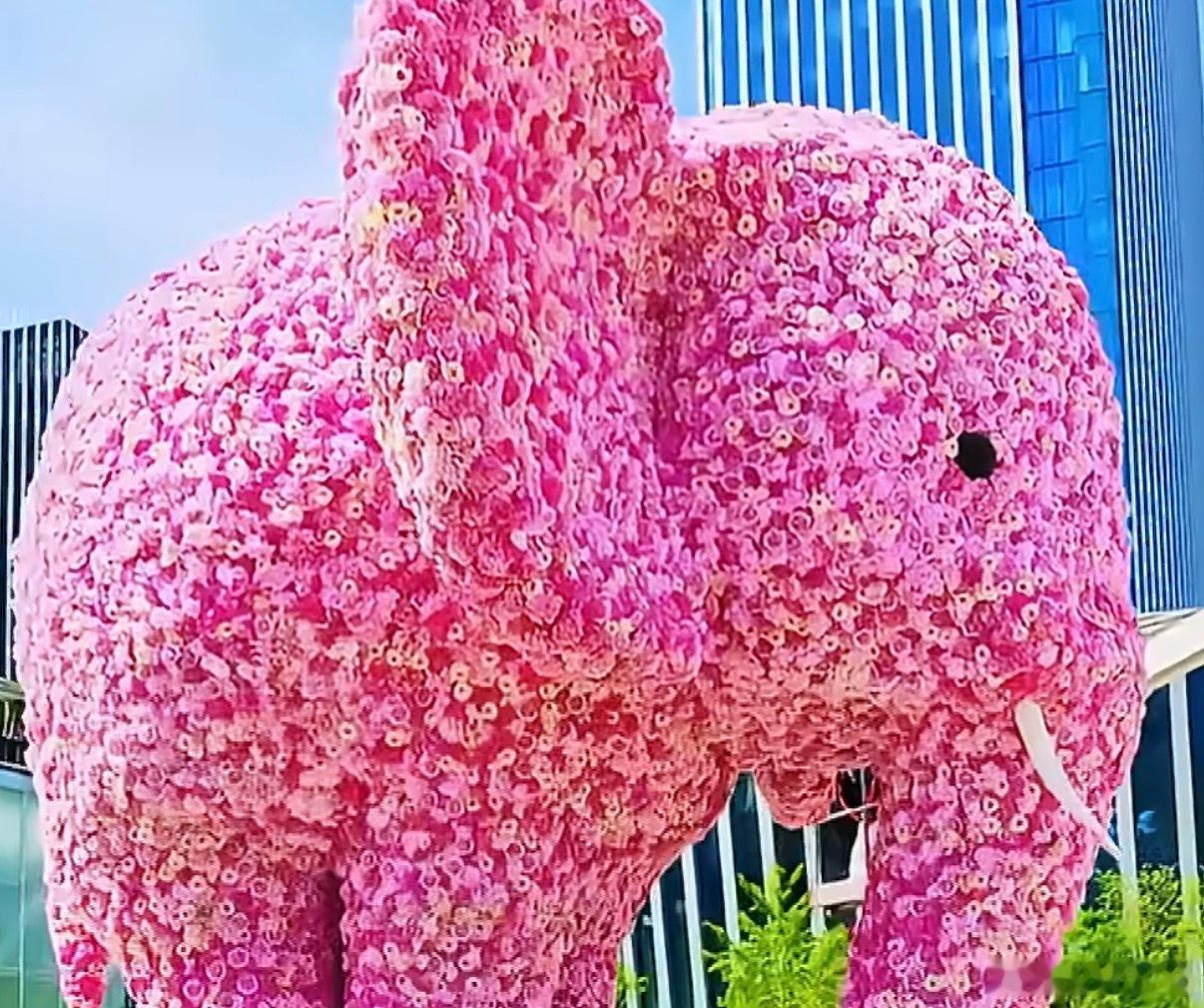 北京花境一步一景太美了 这个春天，北京变成了一座会开花的大花园。2026北京国际