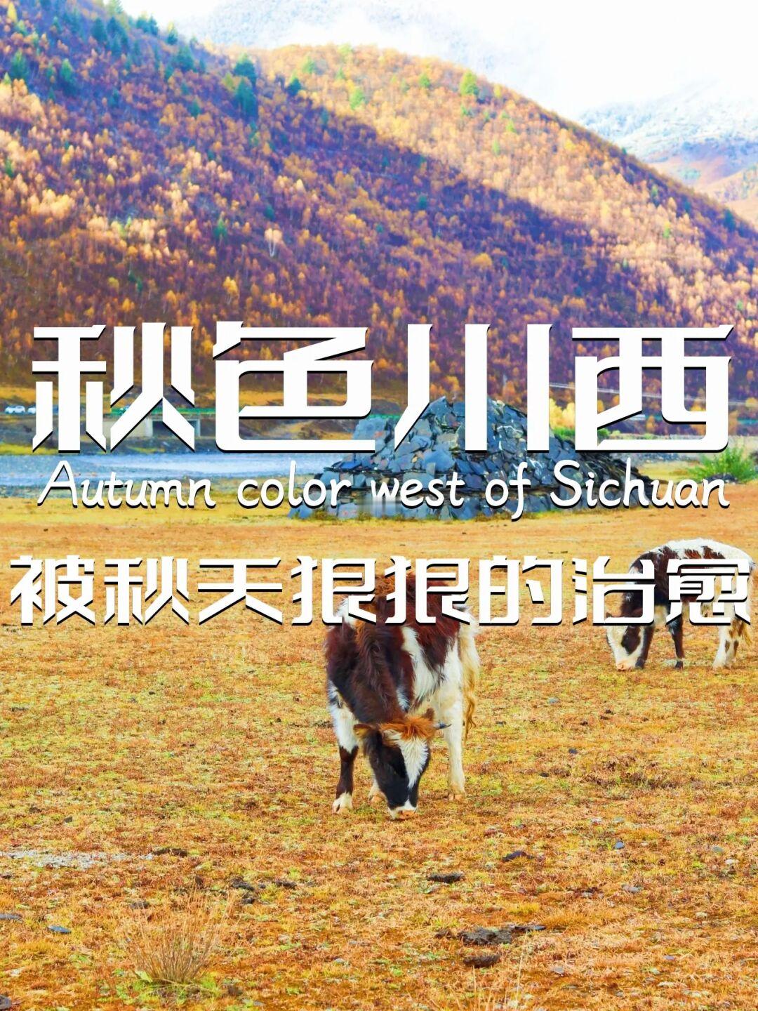 甲根坝｜去这里和秋天撞个满怀