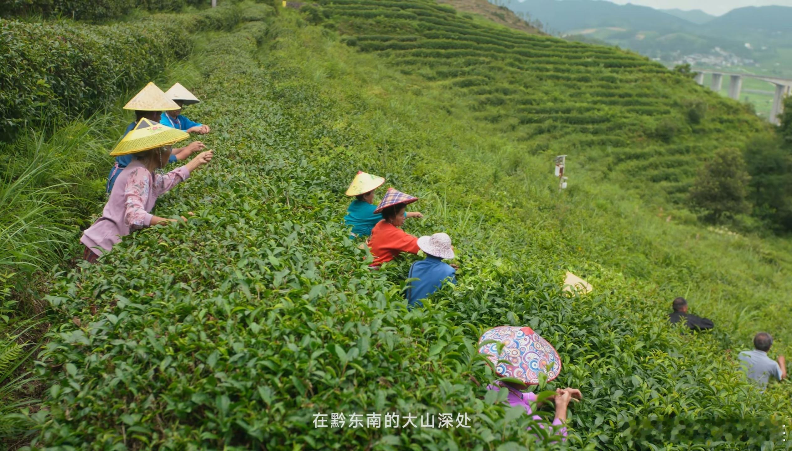 我们经常说某企业有格局，某企业有社会责任感！可什么才是真正的格局和责任感！小米服