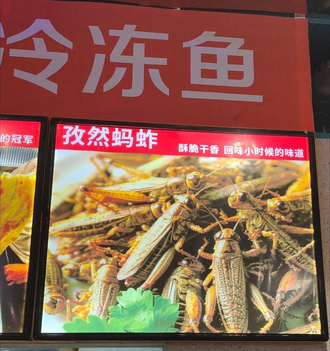 蚂蚱，谁敢吃～ 