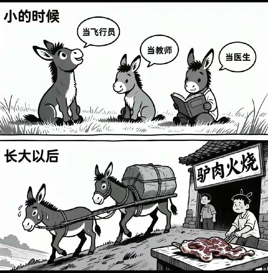 我们是一个讲究血脉传承、家庭伦理的民族。当出生率持续走低，当越来越多的人选择不婚