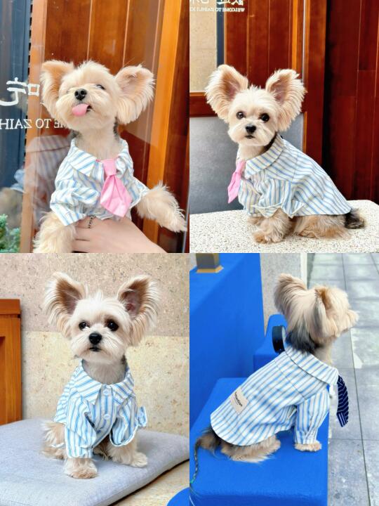 💓我Airdrop给你的，记得接收～