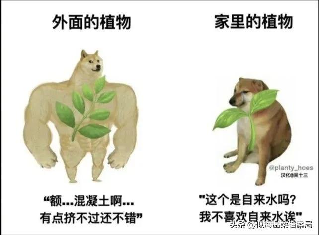 看一次笑一次 [大笑][大笑]