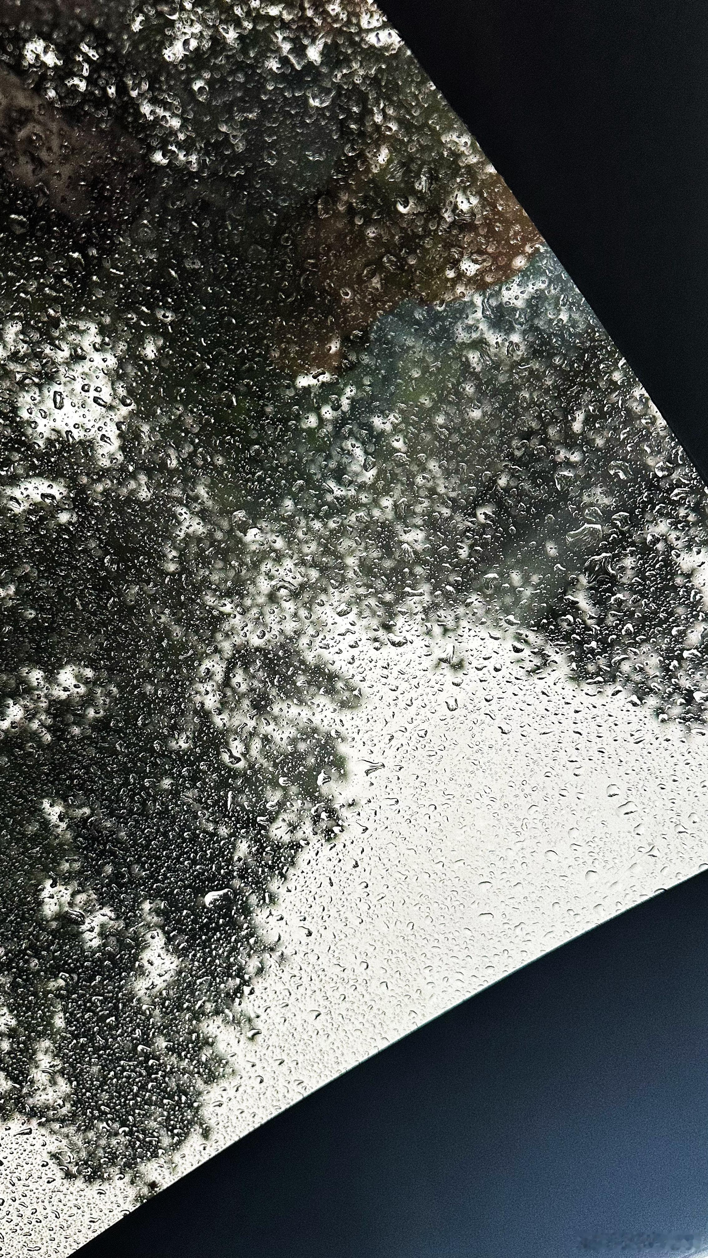 下雨的周五，23度，好凉爽。日常记录随手拍生活手记烟台