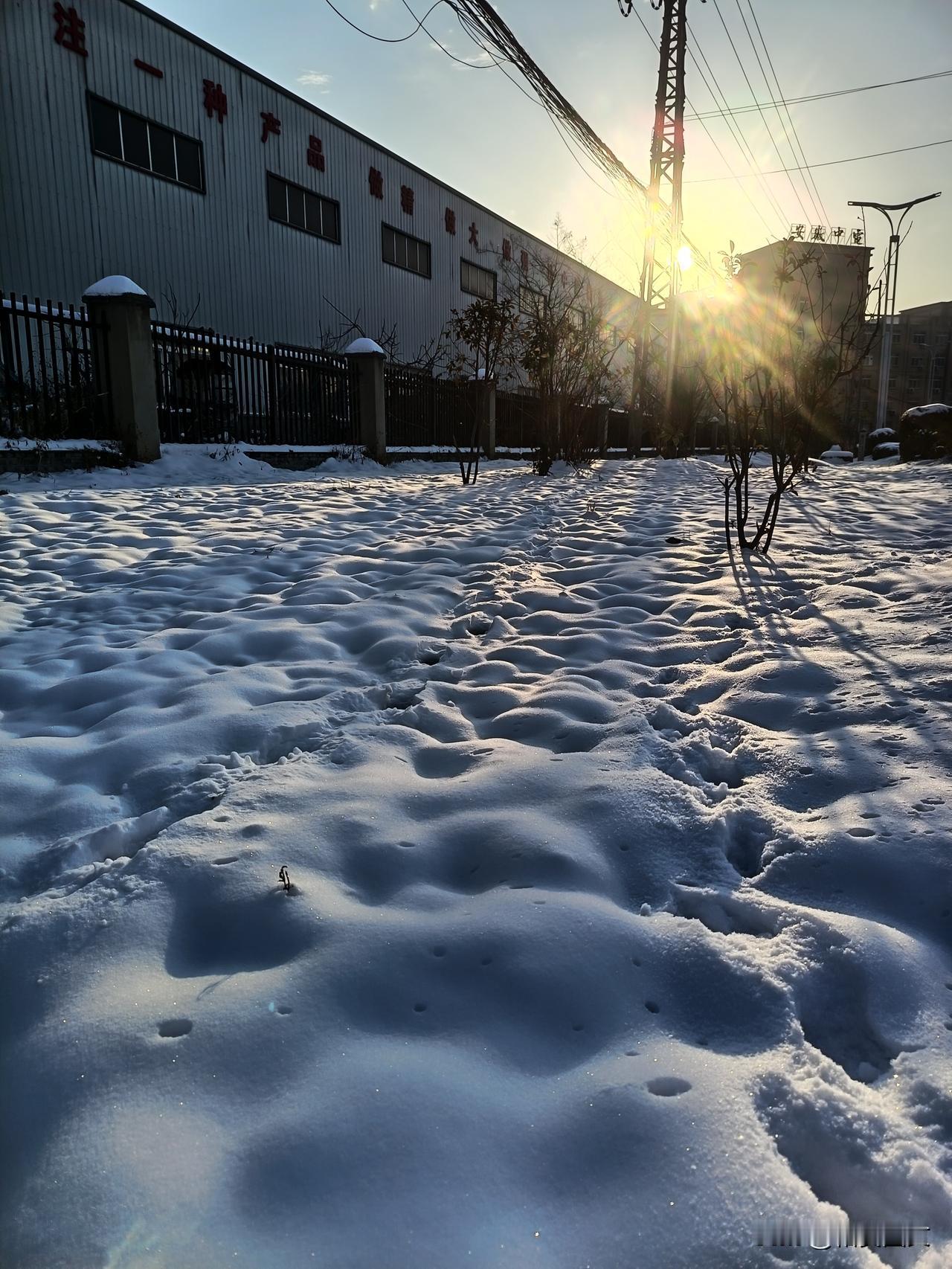 冬日生活打卡季