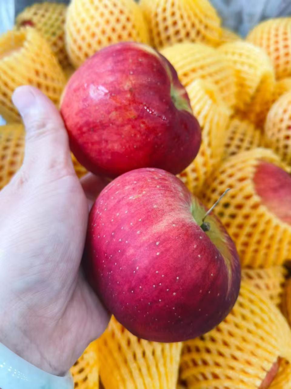 红露苹果｜今夏必吃脆甜苹果🍎一口爆汁巨上头
终于等到夏天的神仙苹果！不是秋冬苹