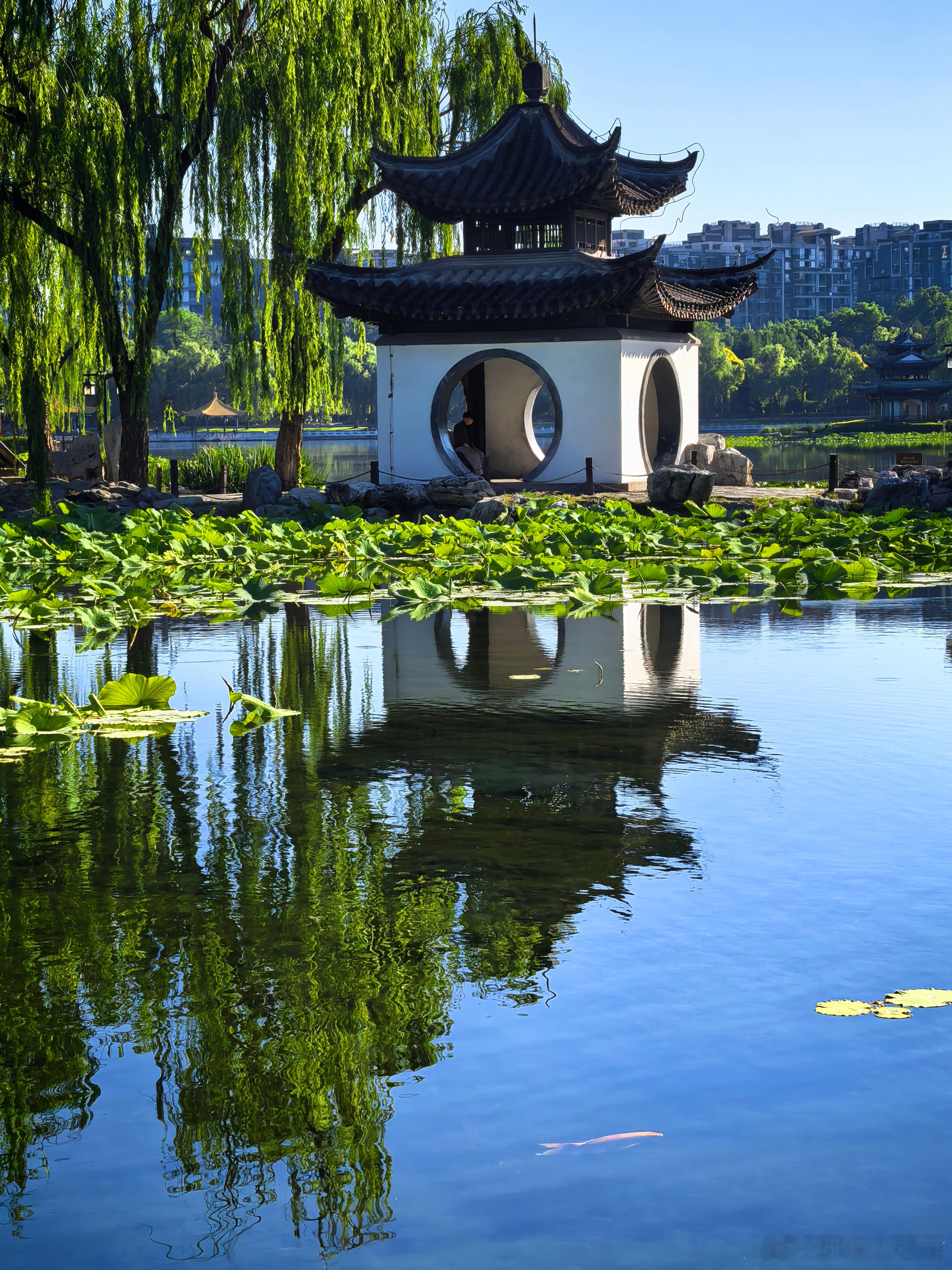 早安 北京