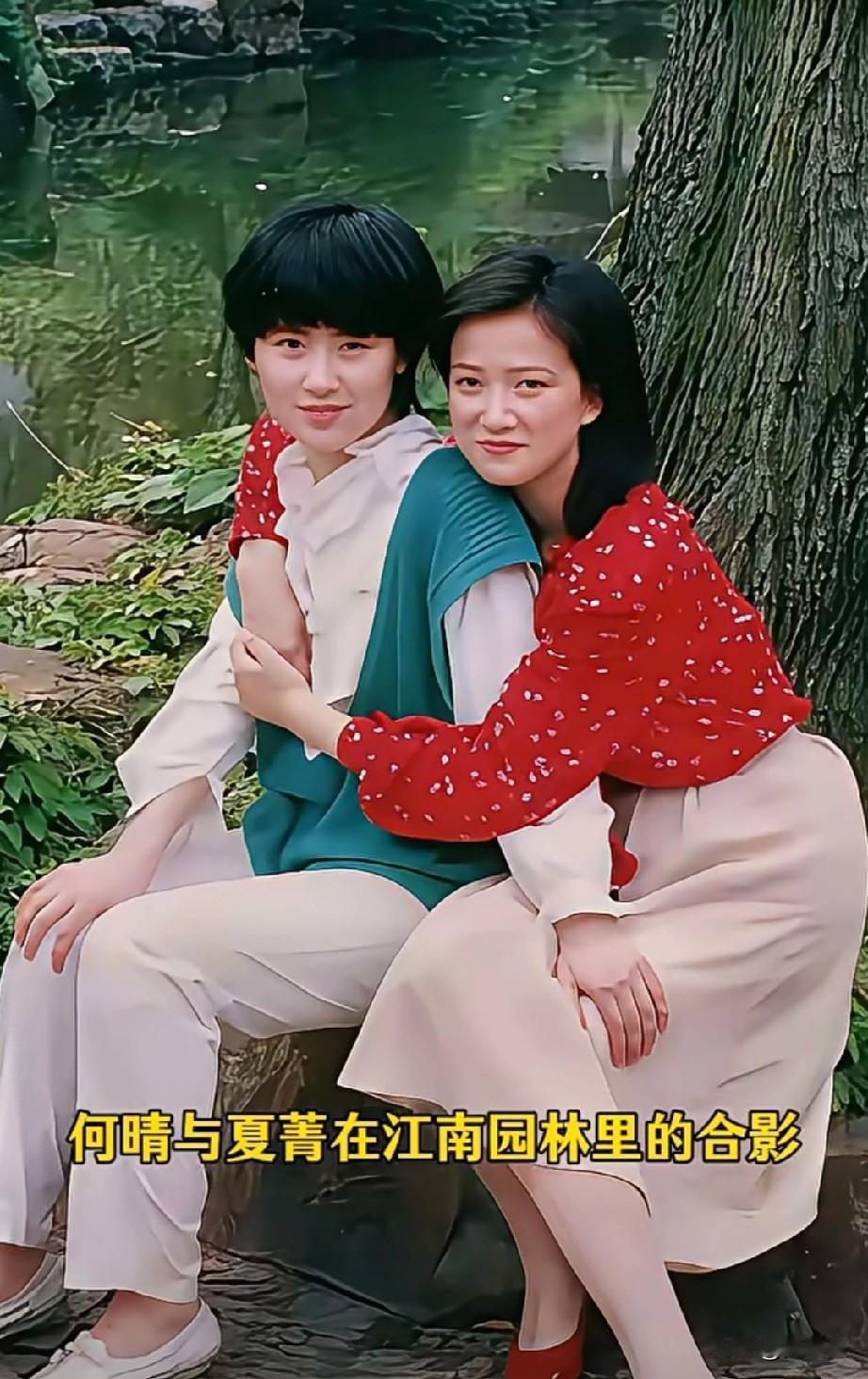 何晴这装搭配真好看！
清新靓丽，
惋惜她的早逝，
可惜了天妒红颜！
图为80年代