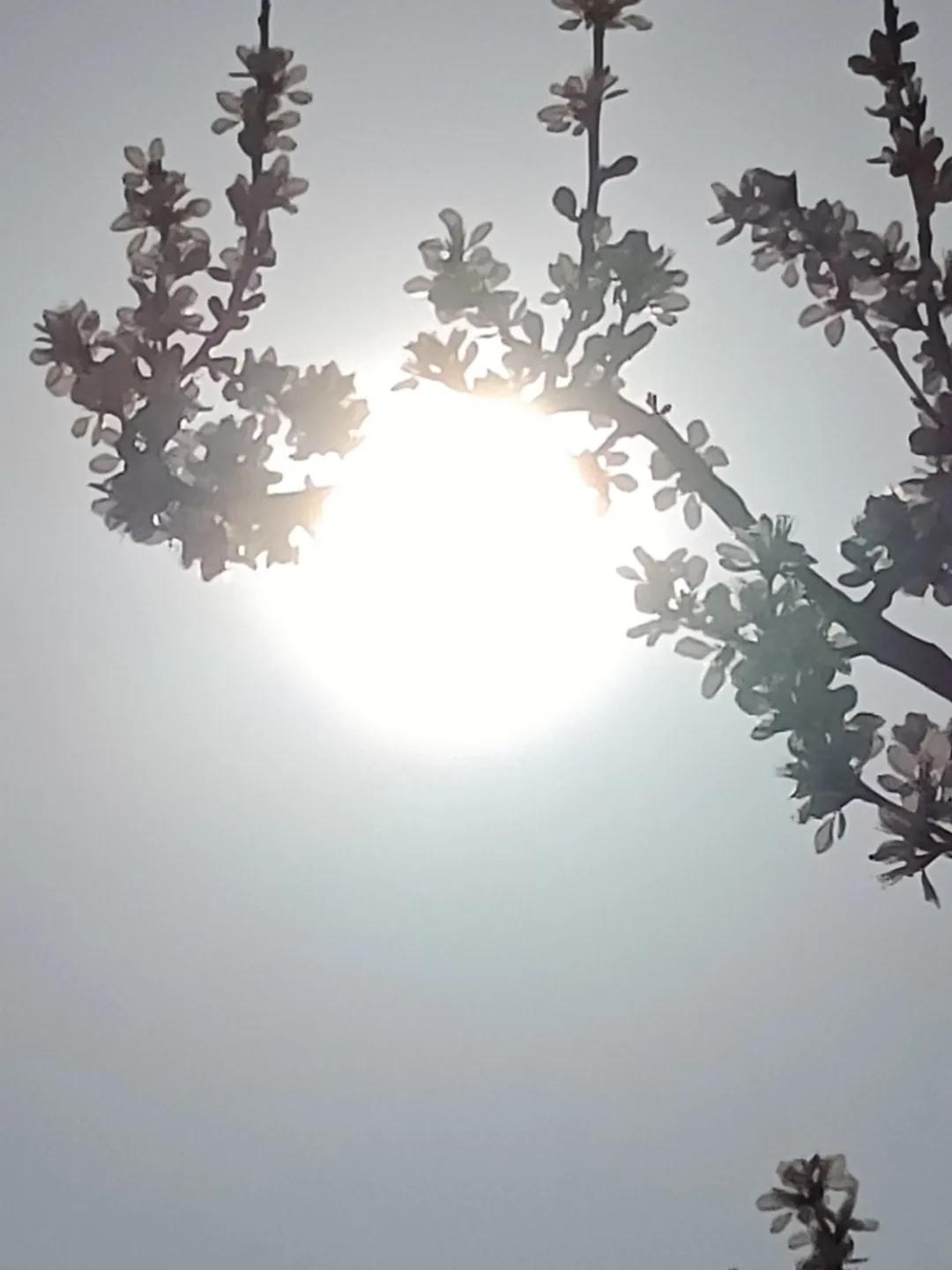 下联：寒梅盈眼叹动心，求上联冷月凝霜映画魂。城市观查员