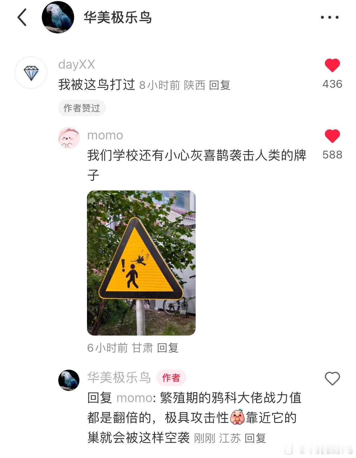 很形象的告示牌繁殖期的灰喜鹊…记得绕行[淡淡的] ​​​