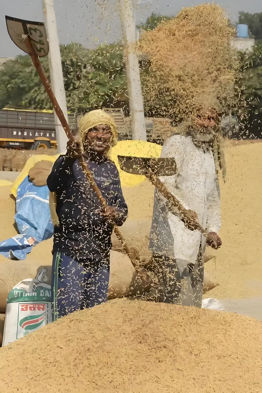 随着大洋彼岸宣布也要封锁霍尔木兹之后，霍尔木兹所有通行均已停止，航运又断了！但波