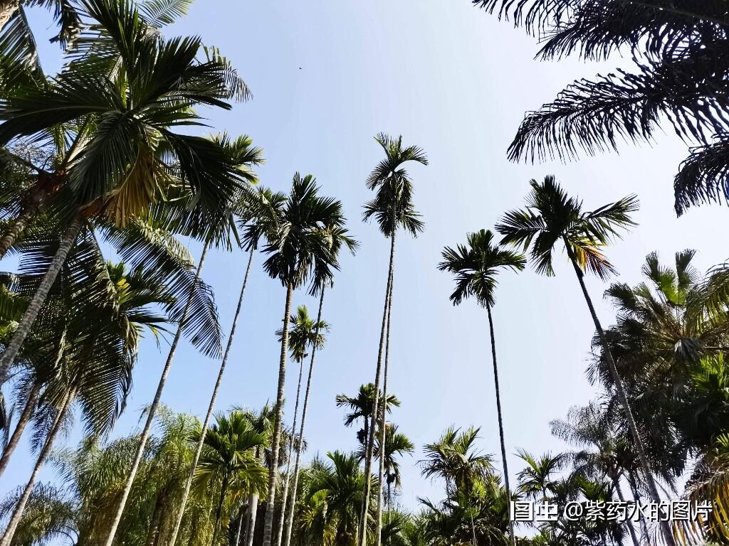 旅行合肥旅行拍照风光