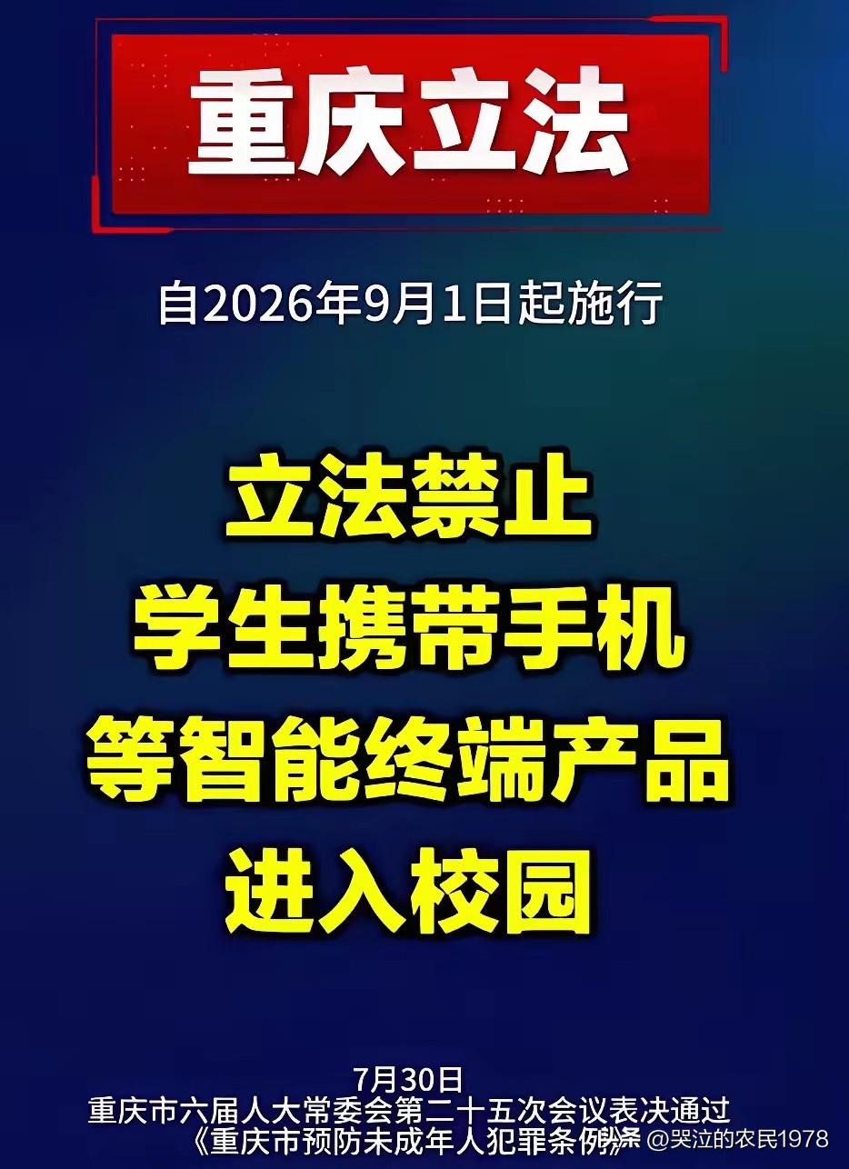 重庆市的这一做法很正确，我举双手赞成。不能任由网络游戏毁了学龄儿童，不能任由电子