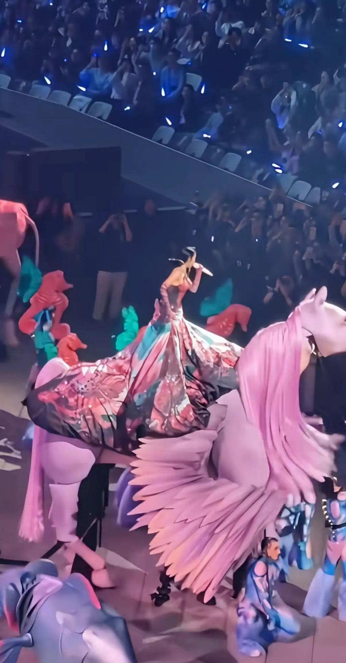 蔡依林演唱会，又搞这些稀奇古怪的东西，花里胡哨的，像纸扎人。