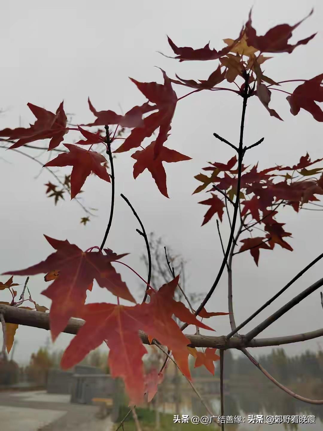 人民日报：优秀孩子都是管出来的！管住孩子这5点，想不成才都难