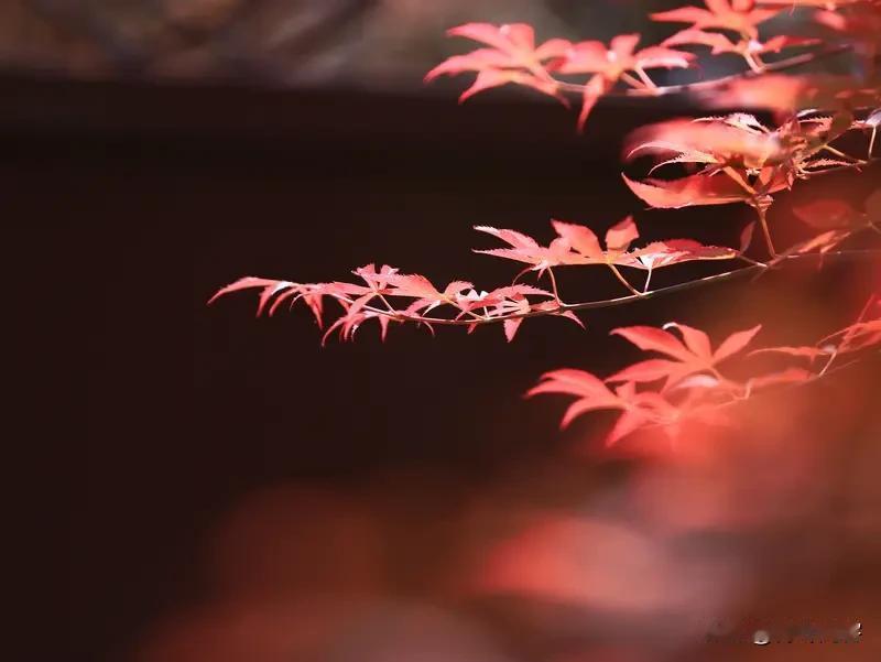 上联:秋霜有意羞红叶;
下联:冬雪无心衬白梅。
友友请展示下联 友友请出下联 友