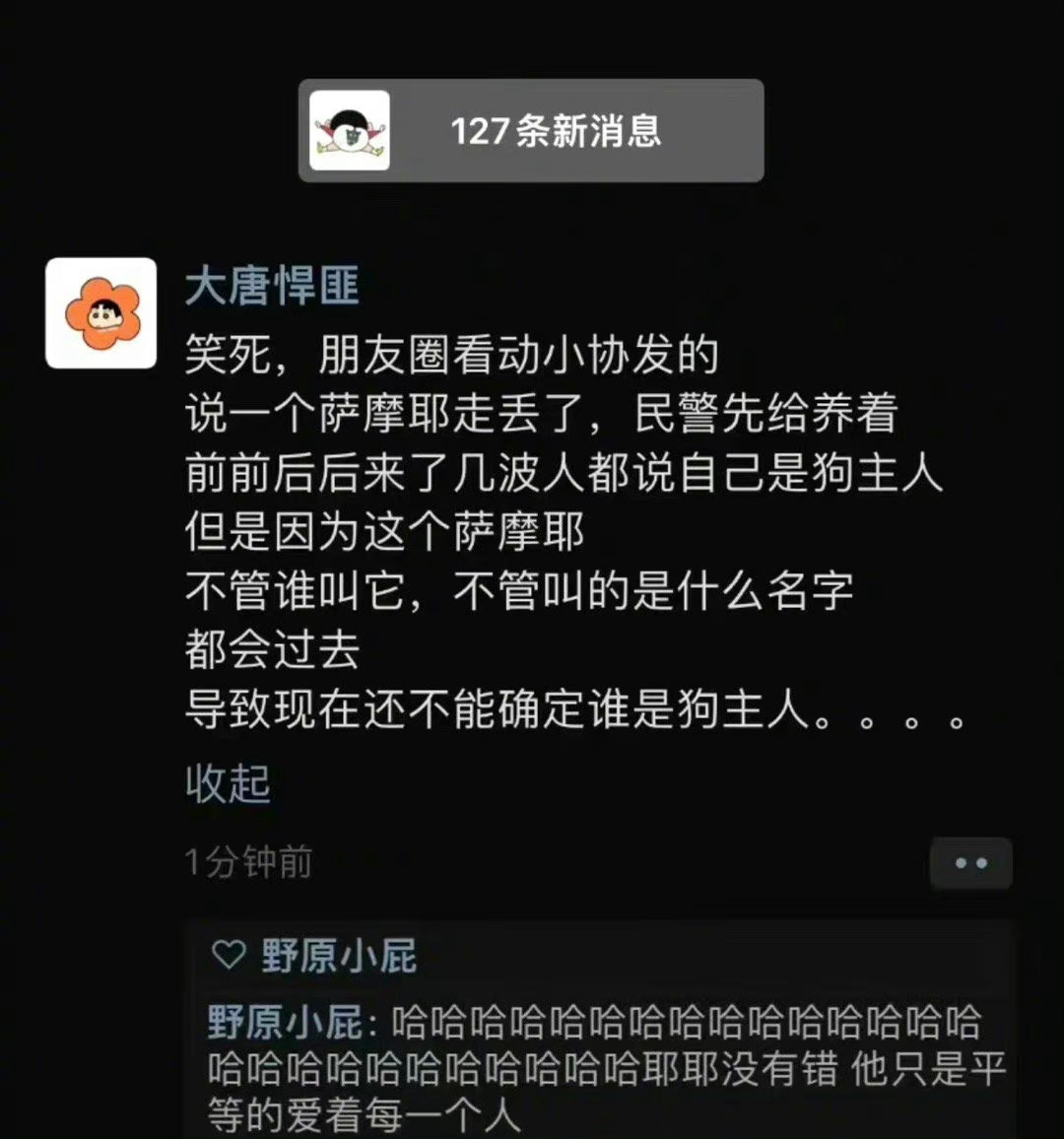 萨摩耶不会辜负每一个爱她的人🥺 ​​​