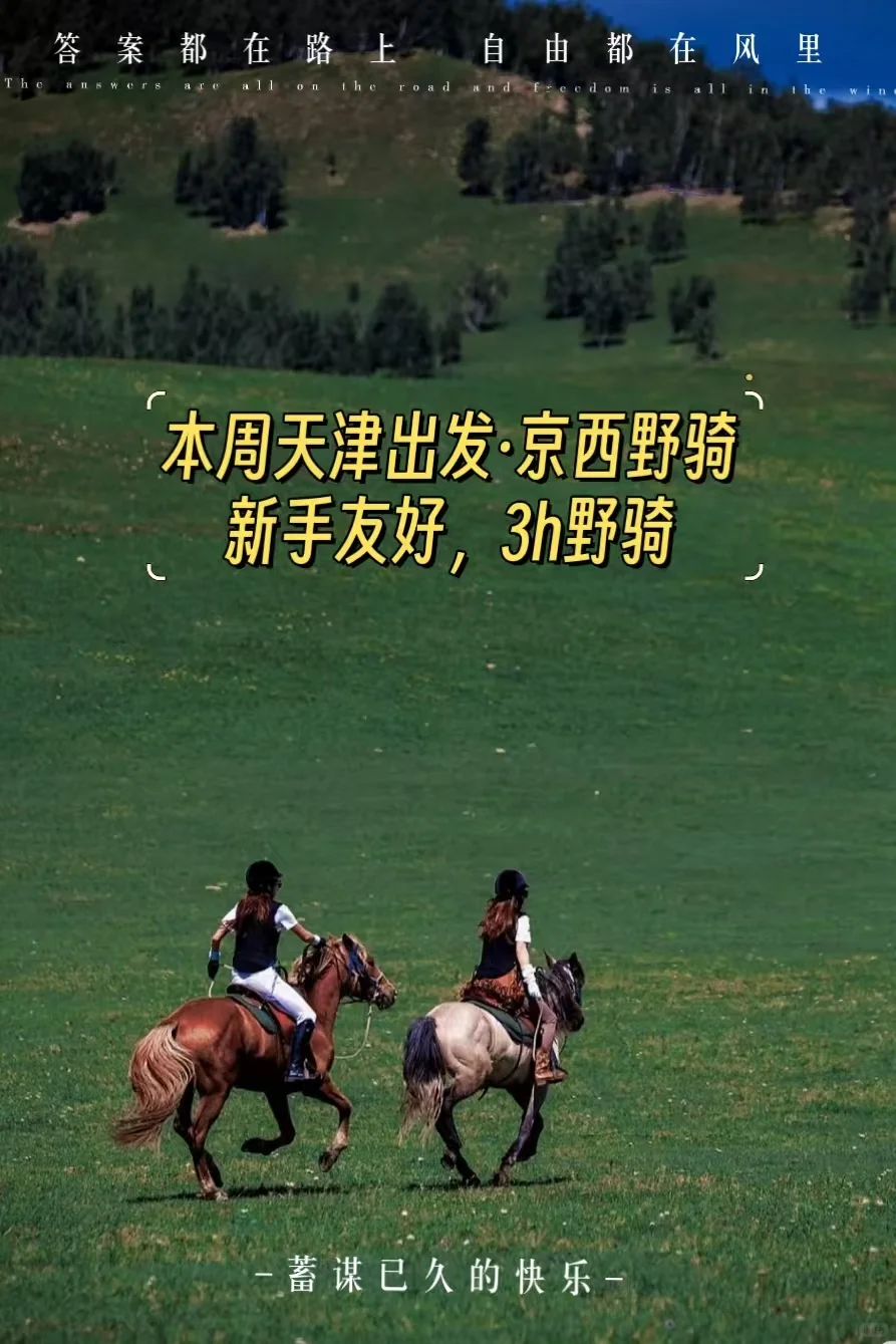 天津骑马，太piu靓了！！！