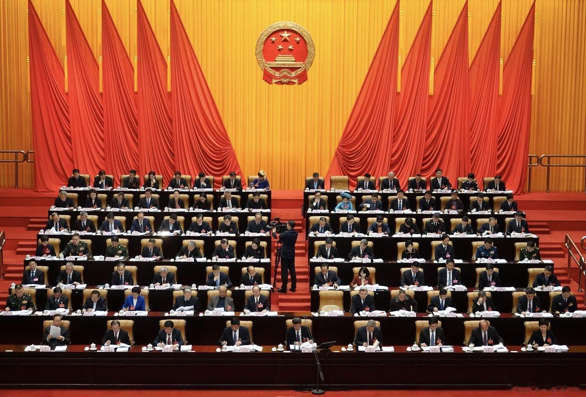 人大代表与政协委员：履职要求、权利义务及豁免权解析
 
在全国两会的政治实践中，